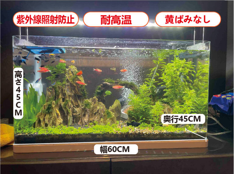 水槽