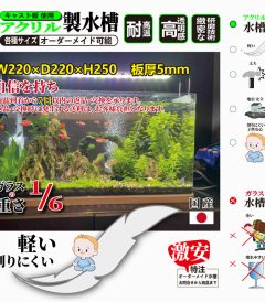 アクリル水槽 1017