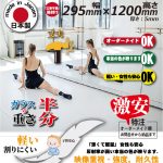 mirror-ak-2951200